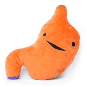 i heart guts-stomach plushie
