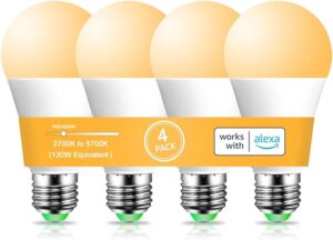 Alexa Light Bulbs
