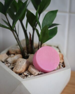 Rad Hair Day Conditioner Bar