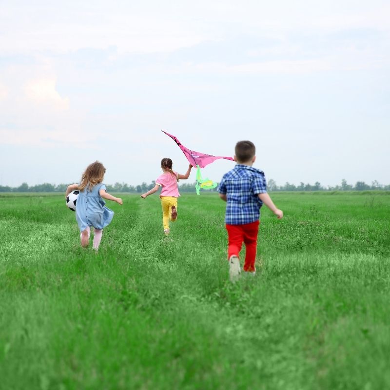 Coordinate Child Care & Babysitting